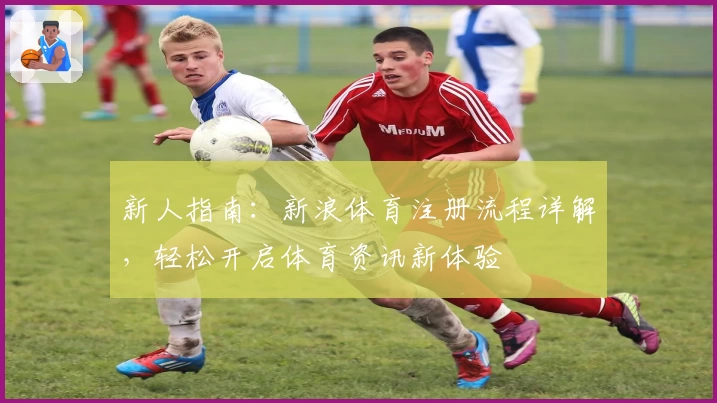 新人指南：新浪体育注册流程详解，轻松开启体育资讯新体验