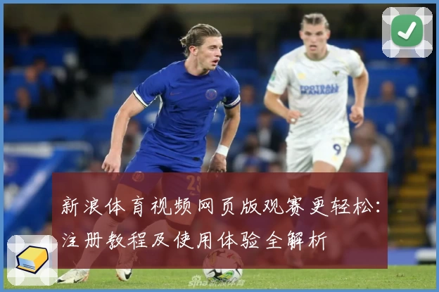 新浪体育视频网页版观赛更轻松：注册教程及使用体验全解析