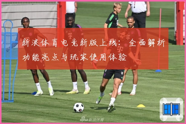 新浪体育电竞新版上线：全面解析功能亮点与玩家使用体验