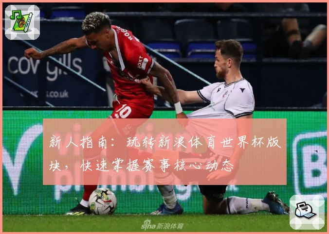 新人指南：玩转新浪体育世界杯版块，快速掌握赛事核心动态