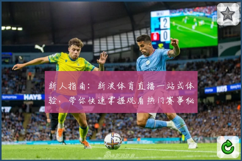 新人指南：新浪体育直播一站式体验，带你快速掌握观看热门赛事秘诀