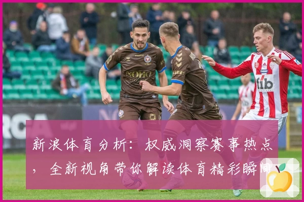 新浪体育分析：权威洞察赛事热点，全新视角带你解读体育精彩瞬间