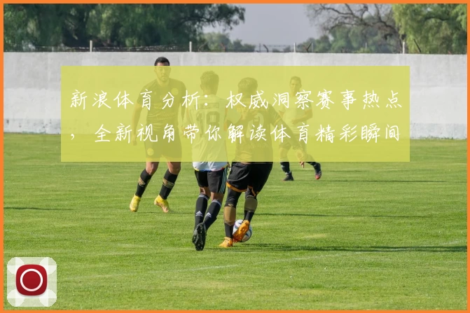 新浪体育分析：权威洞察赛事热点，全新视角带你解读体育精彩瞬间