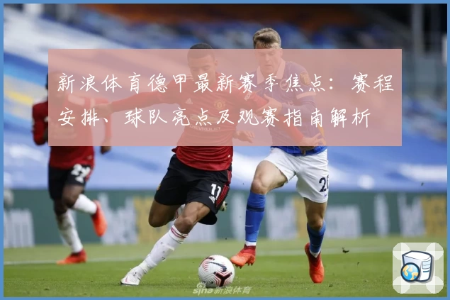 新浪体育德甲最新赛季焦点：赛程安排、球队亮点及观赛指南解析