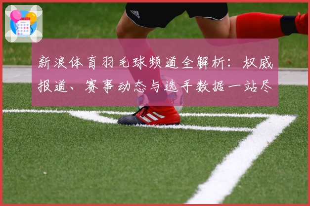 新浪体育羽毛球频道全解析：权威报道、赛事动态与选手数据一站尽览