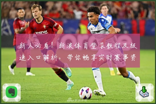 新人必看！新浪体育登录教程及极速入口解析，带你畅享实时赛事资讯