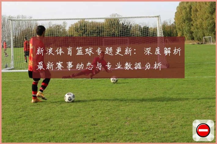 新浪体育篮球专题更新：深度解析最新赛事动态与专业数据分析