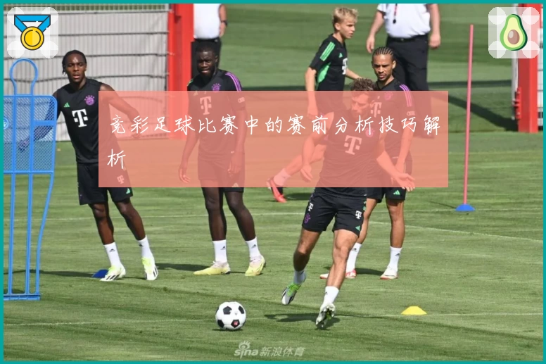 竞彩足球比赛中的赛前分析技巧解析