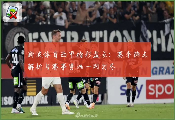 新浪体育西甲精彩盘点：赛季热点解析与赛事资讯一网打尽