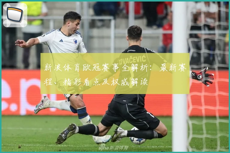 新浪体育欧冠赛事全解析：最新赛程、精彩看点及权威解读